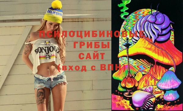 каннабис Баксан