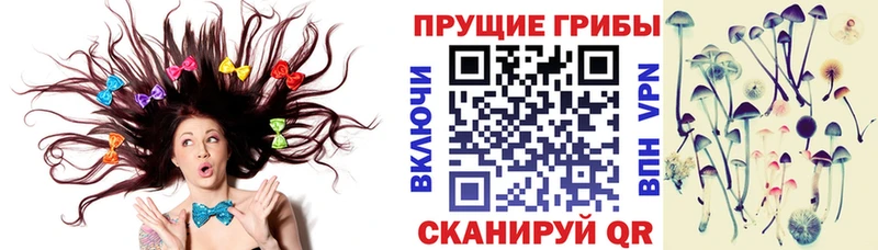 Галлюциногенные грибы GOLDEN TEACHER  Владивосток 